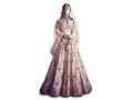 bridal-collection-velvet-net-lehenga-choli-small-0