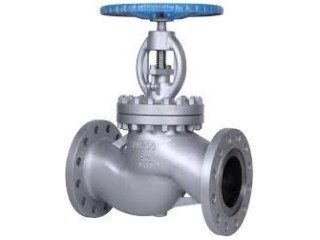 GLOBE VALVES IN KOLKATA