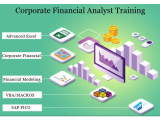 Financial Modeling & Valuation Analyst Course in Delhi [100% Placement, Learn New Skill of '24] by SLA Institute,