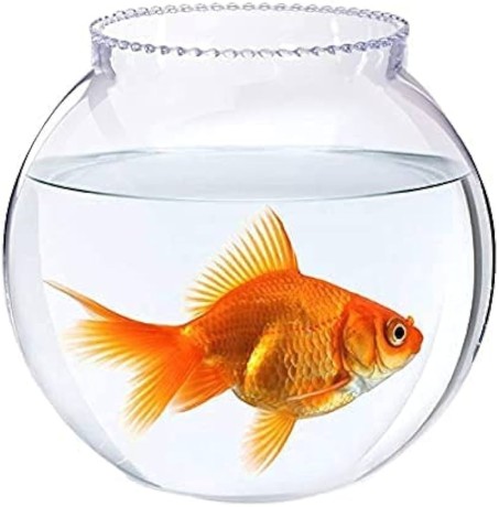 glass-perfect-home-decor-glass-fish-bowl-with-collar-8-inch-bo-big-0